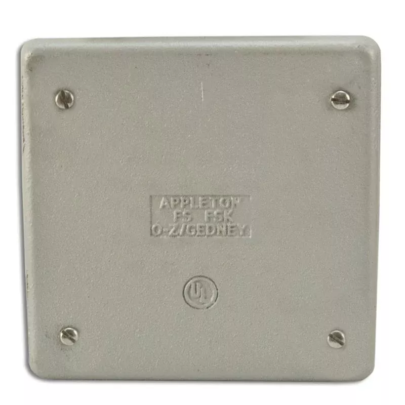 Blank Cover, 2-Gang, Malleable Iron By Appleton FSK2BCM