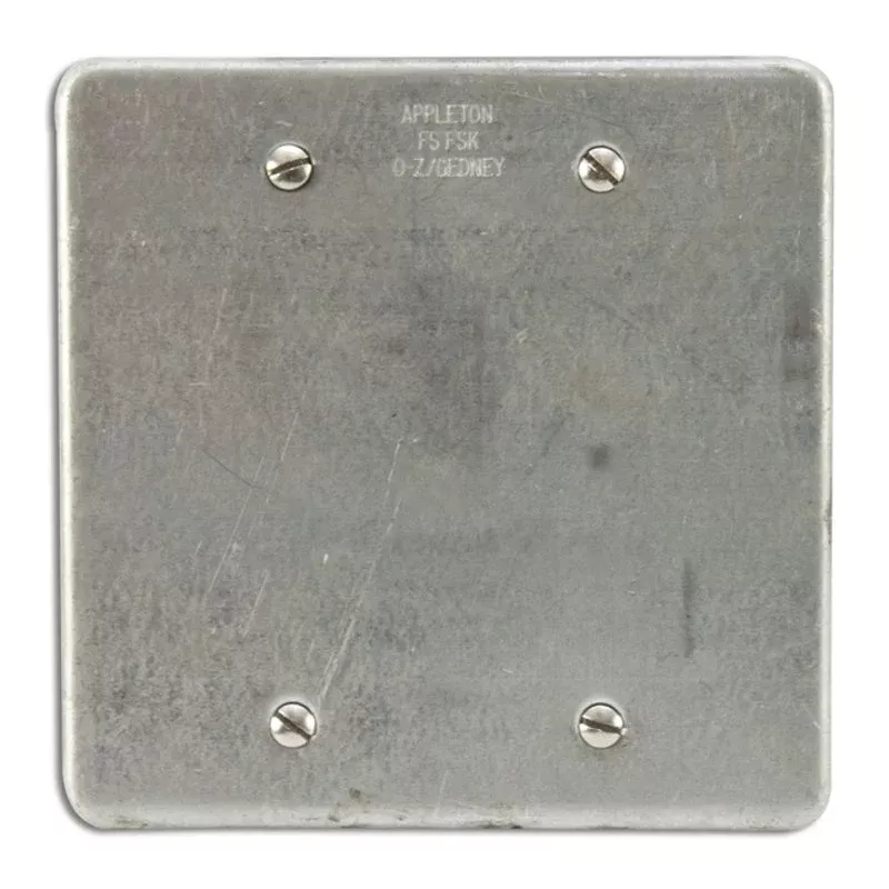 Blank Cover, 2-Gang, Steel, Fits FS and FD Boxes By Appleton FSK2B