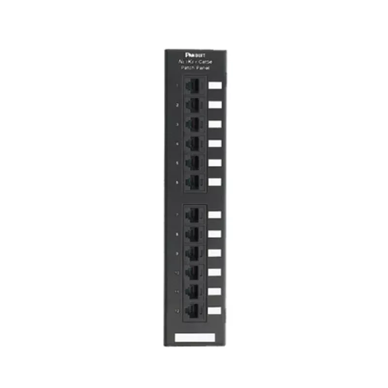 CAT5e 12 Port Patch BlockBy Panduit NK5EPPG12WY