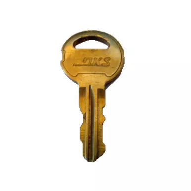 Doorking 4001-227Single Replacement Key 16002
